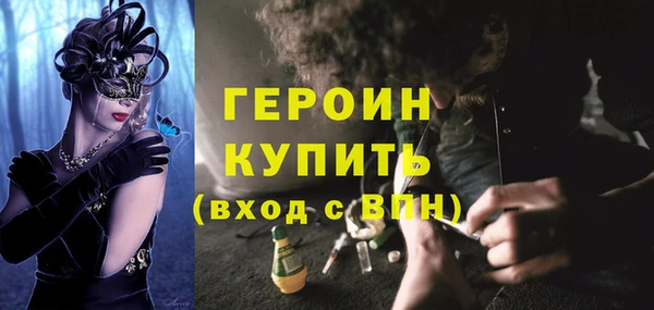 ГАЛЛЮЦИНОГЕННЫЕ ГРИБЫ Богданович