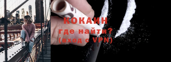 ГАЛЛЮЦИНОГЕННЫЕ ГРИБЫ Богданович