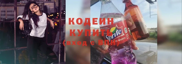 ГАЛЛЮЦИНОГЕННЫЕ ГРИБЫ Богданович