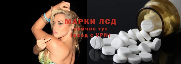 ГАЛЛЮЦИНОГЕННЫЕ ГРИБЫ Богданович