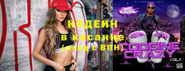 ГАЛЛЮЦИНОГЕННЫЕ ГРИБЫ Богданович