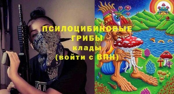 бошки Богородицк