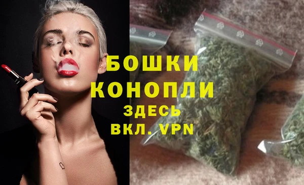 бошки Богородицк
