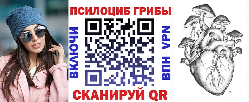 Купить  Новосокольники  Псилоцибиновые грибы мицелий 
